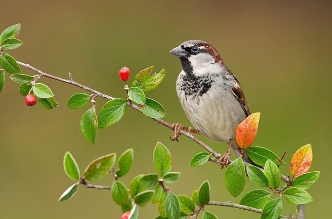 images-16-3