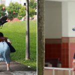 crows-bishan-trap