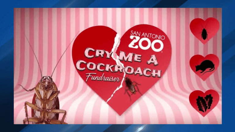 f5e0f647-31fe-41d4-b2bd-42a05d7f05bd-Untitleddesign56