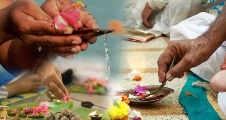 ntnew-16_25_230924849puja-9