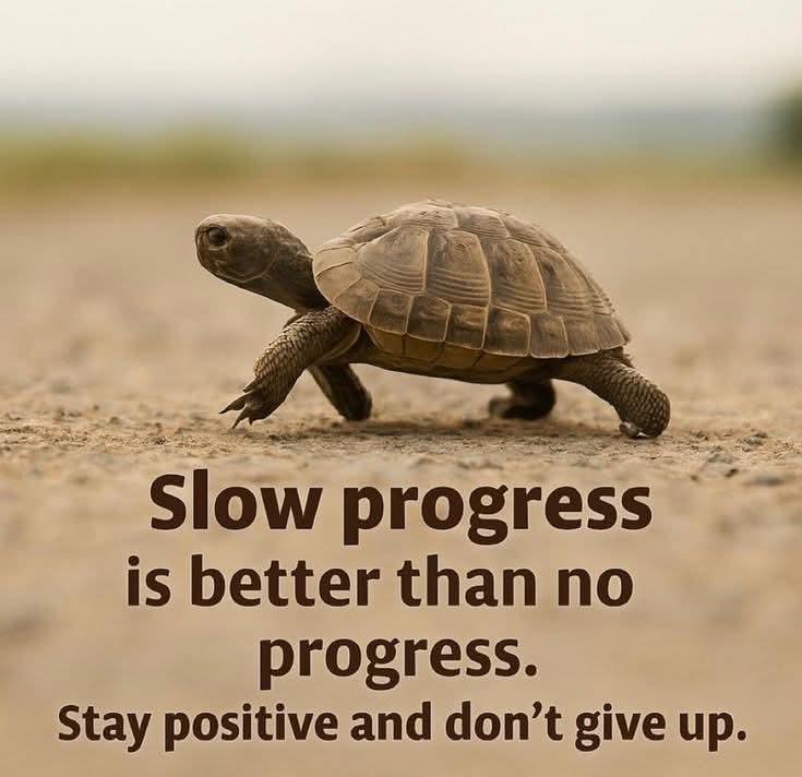 FB_IMG_1761509963187