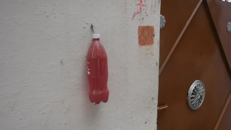 kanpur-red-and-green-bottle-outside-of-house-1766224524343