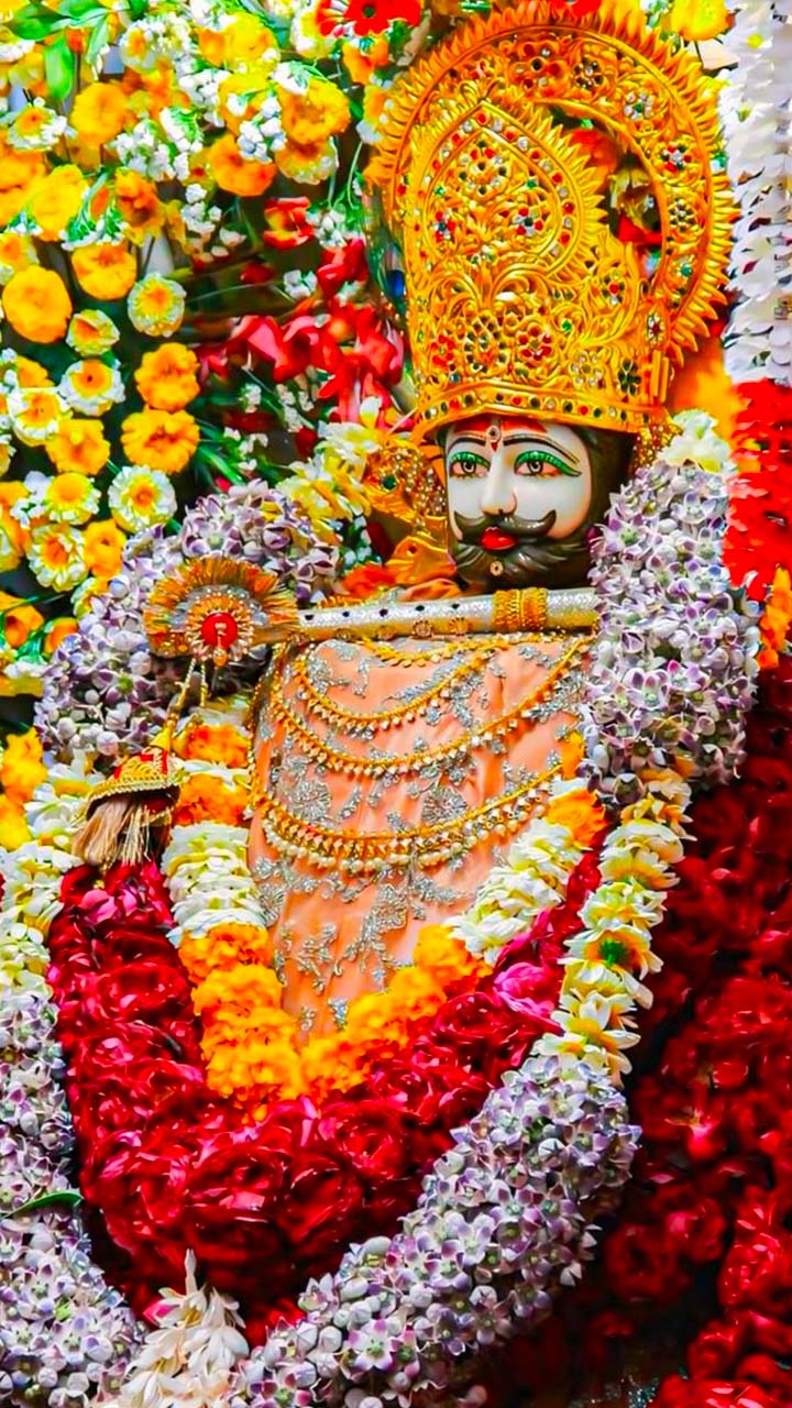 slide-1-18-6852a34fa57f48bf34179ea4-49381682