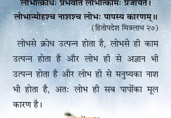 IMG-20260216-WA0019-1